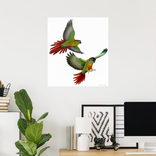 Green Cheek Conures Poster (Heimbüro)