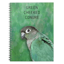 Green Cheeke Conure - schöner Vogel