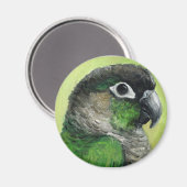 "Green Cheeked Conure" Bird Art Magnet (Vorderseite/Rückseite)