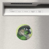 "Green Cheeked Conure" Bird Art Magnet (In Situ (Geschirrspüler))