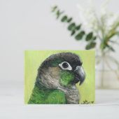 "Green Cheeked Conure" Bird Art Postcard Postkarte (Stehend Vorderseite)