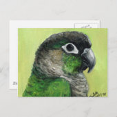 "Green Cheeked Conure" Bird Art Postcard Postkarte (Vorne/Hinten)