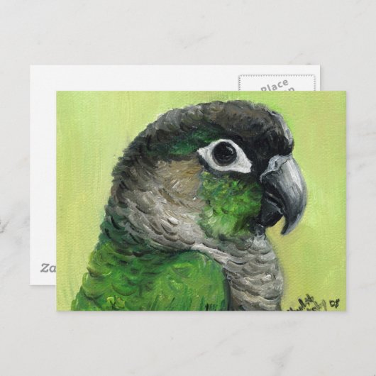 "Green Cheeked Conure" Bird Art Postcard Postkarte (Vorne/Hinten)