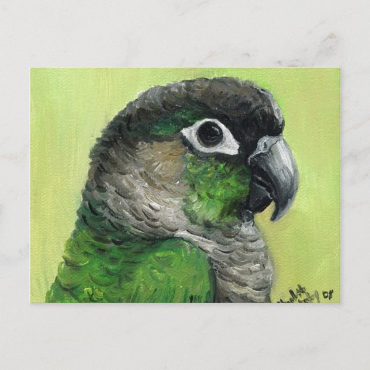 "Green Cheeked Conure" Bird Art Postcard Postkarte (Vorderseite)