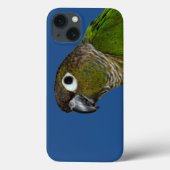 Green Cheeked Conure Case-Mate iPhone Hülle (Rückseite)