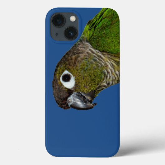 Green Cheeked Conure Case-Mate iPhone Hülle (Rückseite)