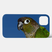 Green Cheeked Conure Case-Mate iPhone Hülle (Rückseite (Horizontal))