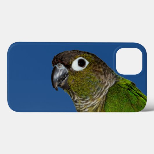 Green Cheeked Conure Case-Mate iPhone Hülle (Rückseite (Horizontal))