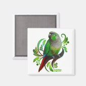 Green Cheeked Conure Magnet (Vorderseite/Rückseite)