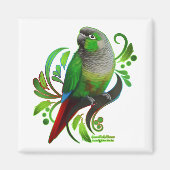Green Cheeked Conure Magnet (Vorne)