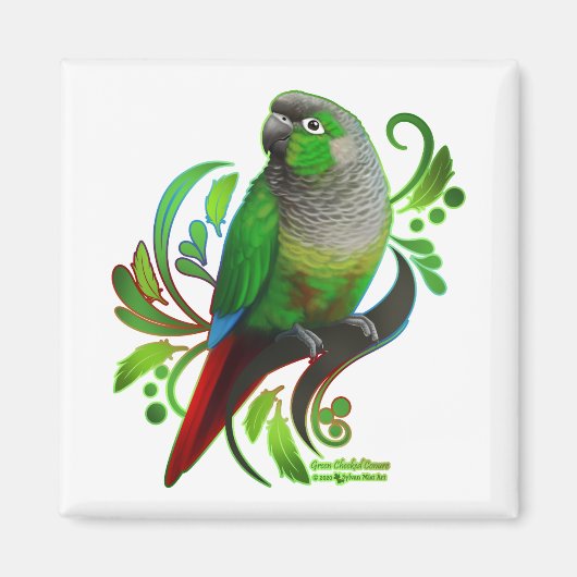 Green Cheeked Conure Magnet (Vorne)
