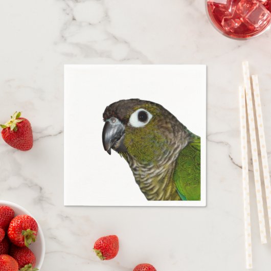 Green Cheeked Conure Serviette (Beispiel)