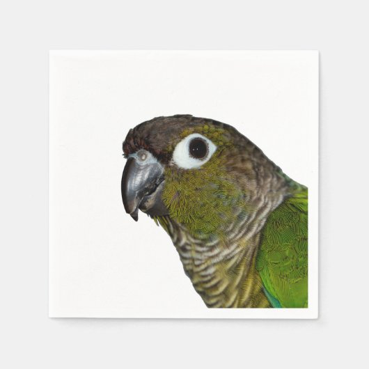 Green Cheeked Conure Serviette (Vorderseite)
