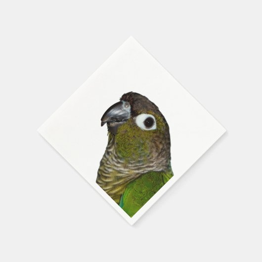 Green Cheeked Conure Serviette (Ecke)