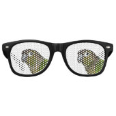 Green Cheeked Conure Sonnenbrille (Vorderseite)