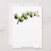 GREEN CHERRY TOMATO FOTO GARDEN PARTY EINLADUNG (Rückseite)