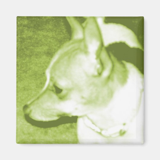 Green Chihuahua Pop Magnet für Kultur (Vorne)