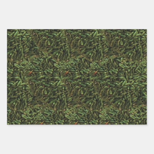 Green Chili Pepper Pattern Geschenkpapier Set (Vorderseite 2)