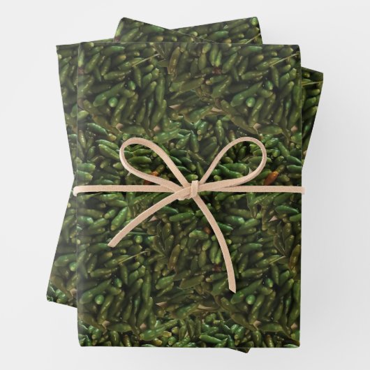 Green Chili Pepper Pattern Geschenkpapier Set (Beispiel)