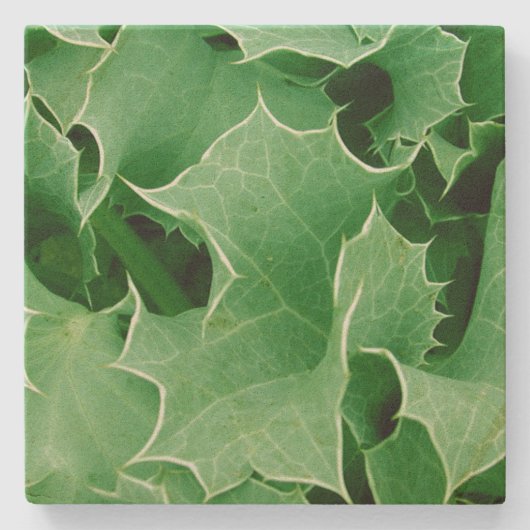 Green Christmas Holly Steinuntersetzer (Vorderseite)