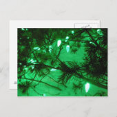 Green Christmas Lights Feiertagspostkarte (Vorne/Hinten)