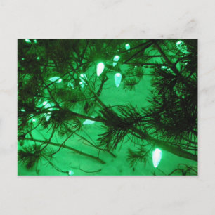 Green Christmas Lights Feiertagspostkarte