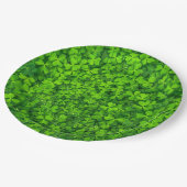 Green Clover Blätter mit Wassertropfen Pappteller (Schrägansicht)