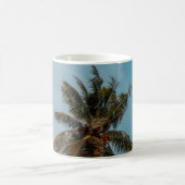 Green coconut tree under blue sky kaffeetasse (Mittel)