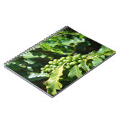 Green Coffee Berries Notizblock (Linke Seite)