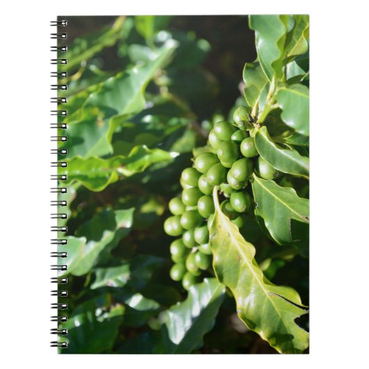 Green Coffee Berries Notizblock (Vorderseite)