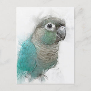 Green Conure Postcard Nr. 3 Postkarte