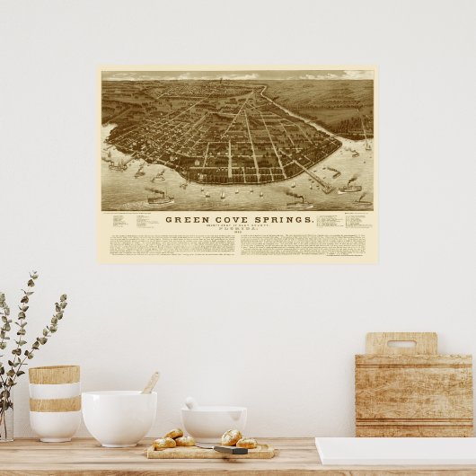 Green Cove Springs, FL Panoramic Map - 1885 Poster (Küche)