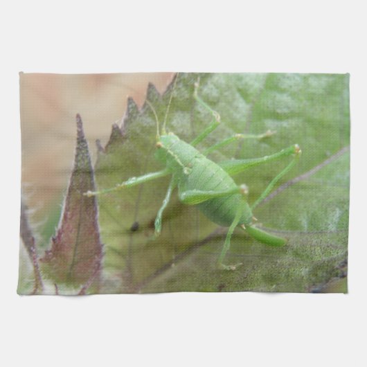Green Cricket auf einem Leaf Küchentuch (Horizontal)