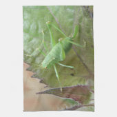 Green Cricket auf einem Leaf Küchentuch (Vertikal)