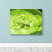 Green Cricket Camouflage Canvas Print Leinwanddruck (Insitu (Holzboden))