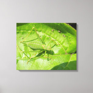 Green Cricket Camouflage Canvas Print Leinwanddruck