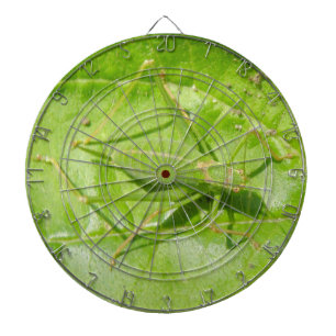 Green Cricket Camouflage Dart Board Dartscheibe