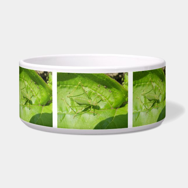 Green Cricket Camouflage Dog Bowl Napf (Vorderseite)