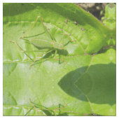 Green Cricket Camouflage Gemustertes Tiergewebe Stoff (Nahaufnahme)