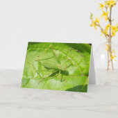 Green Cricket Camouflage Grußkarte Karte (Gelbe Blume)