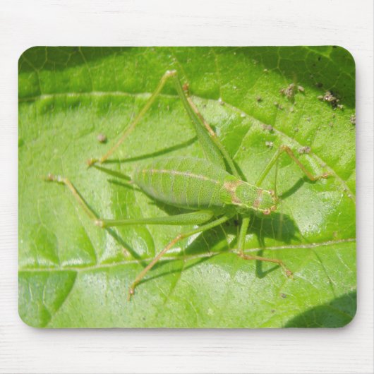 Green Cricket Camouflage Mousepad (Vorne)