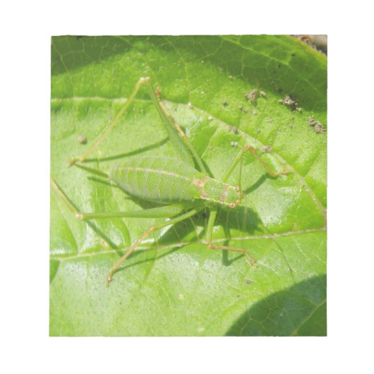 Green Cricket Camouflage Notepad Notizblock (Vorderseite)