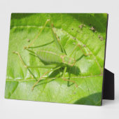Green Cricket Camouflage Plaque Fotoplatte (Seite)