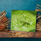 Green Cricket Camouflage Plaque Fotoplatte (Seite)