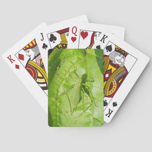 Green Cricket Camouflage Playing Cards Spielkarten (Rückseite)