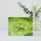 Green Cricket Camouflage Postkarte (Stehend Vorderseite)