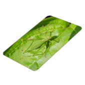 Green Cricket Camouflage Premium Magnet (Linke Seite)