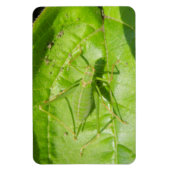 Green Cricket Camouflage Premium Magnet (Vertikal)