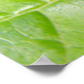 Green Cricket Camouflage Print Poster (Ecke)