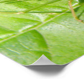 Green Cricket Camouflage Print Poster (Ecke)